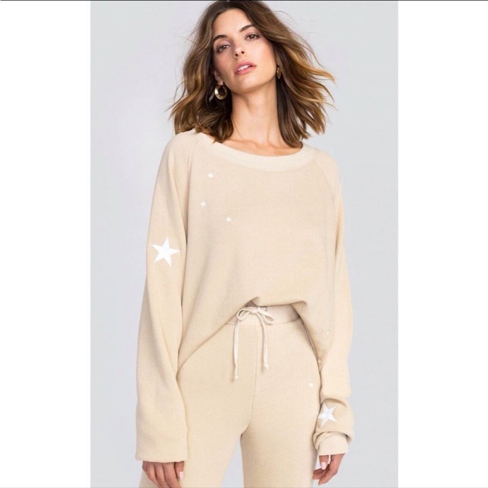 Wildfox Star Cropped Sweater